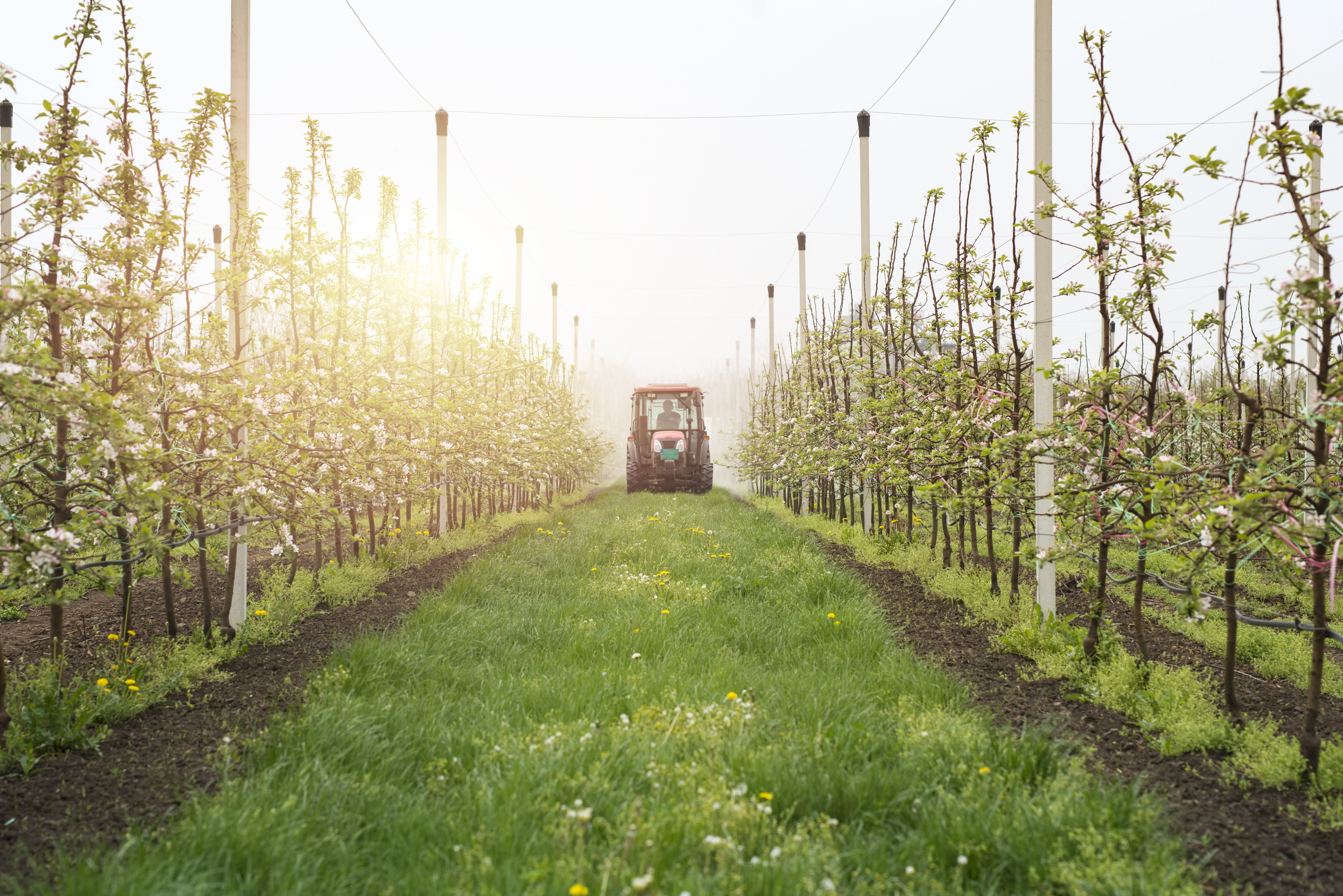 Market study for green financing in agriculture